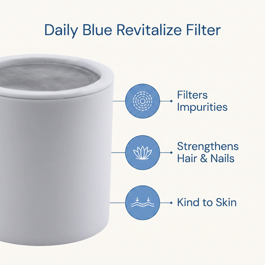 Shower Filter Replacement Cartridge - 2 Pack